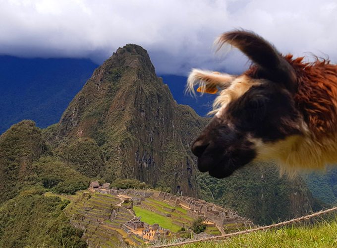 Official Tickets for Taj Mahal