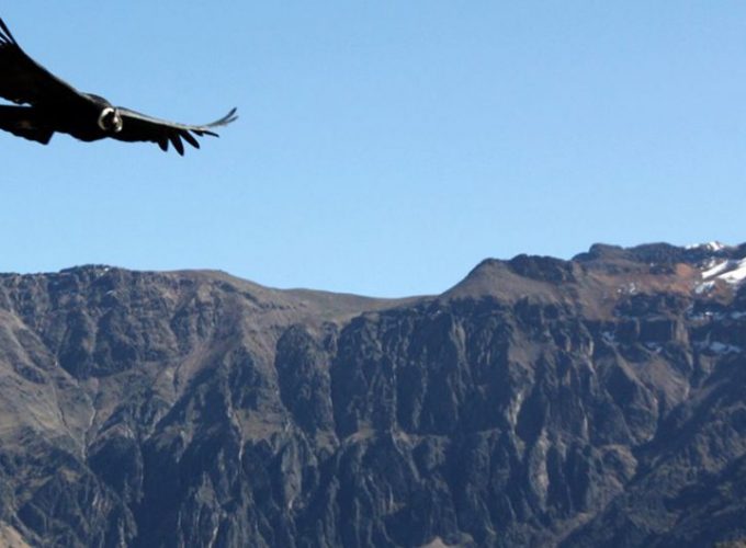 Official Tickets for Taj Mahal