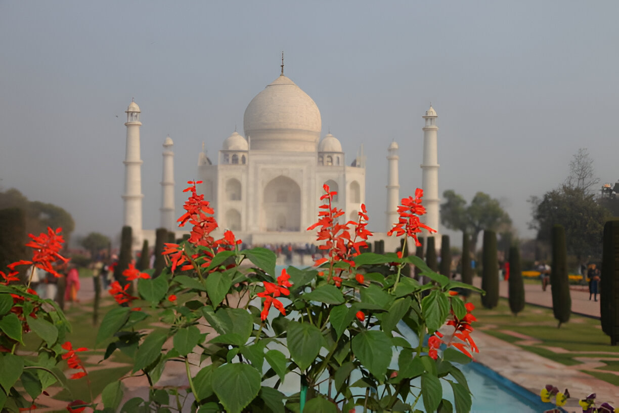 Official Tickets for Taj Mahal