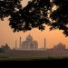 TAJ
