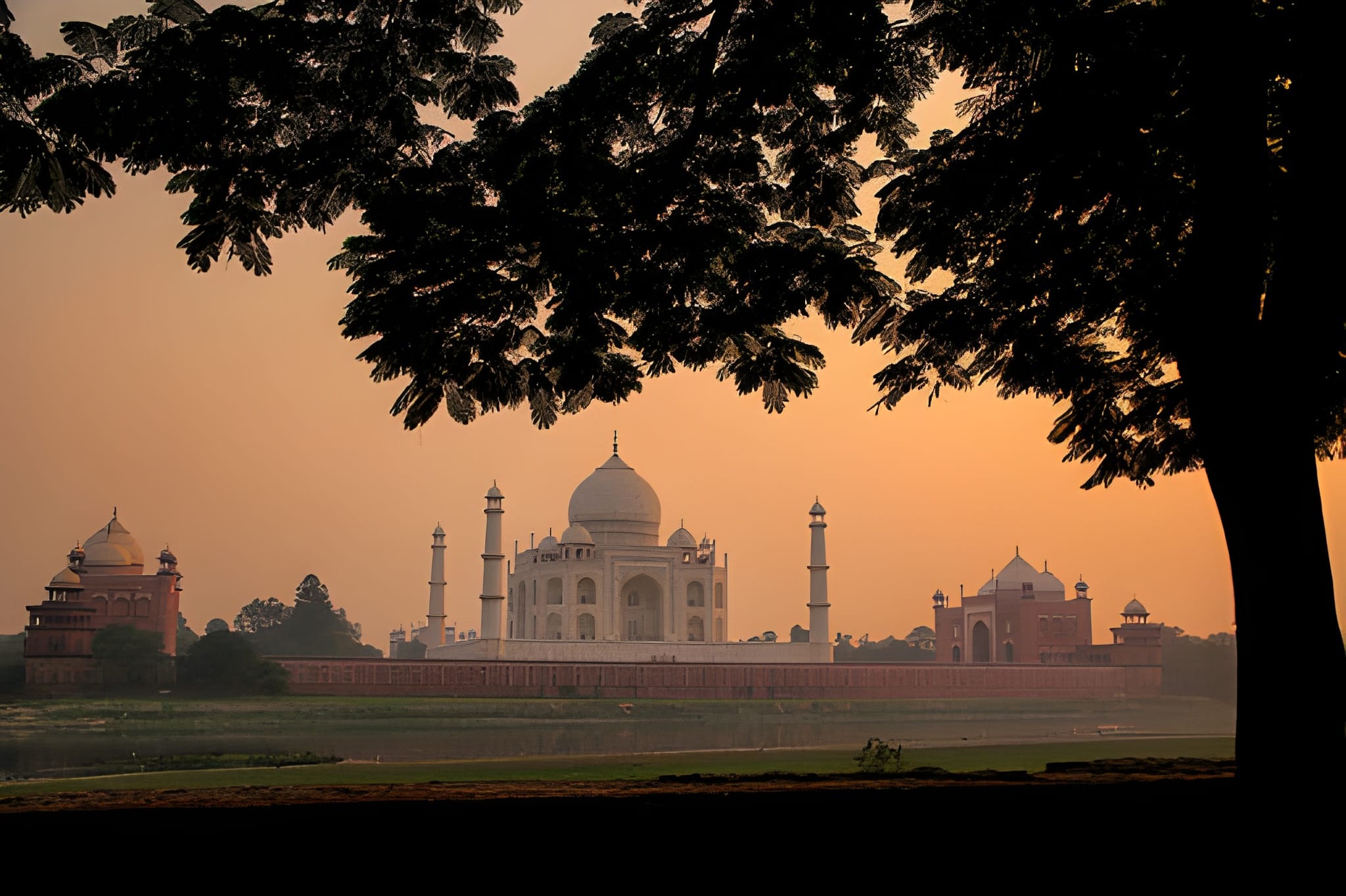 TAJ