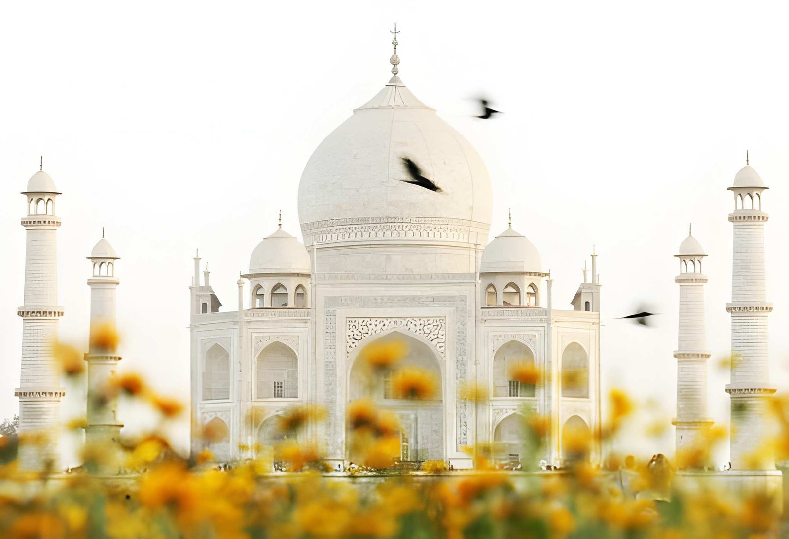 Taj Mahal