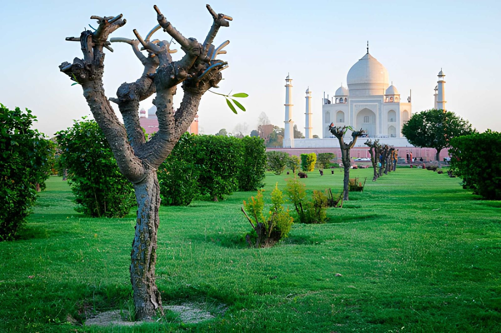 Taj Mahal