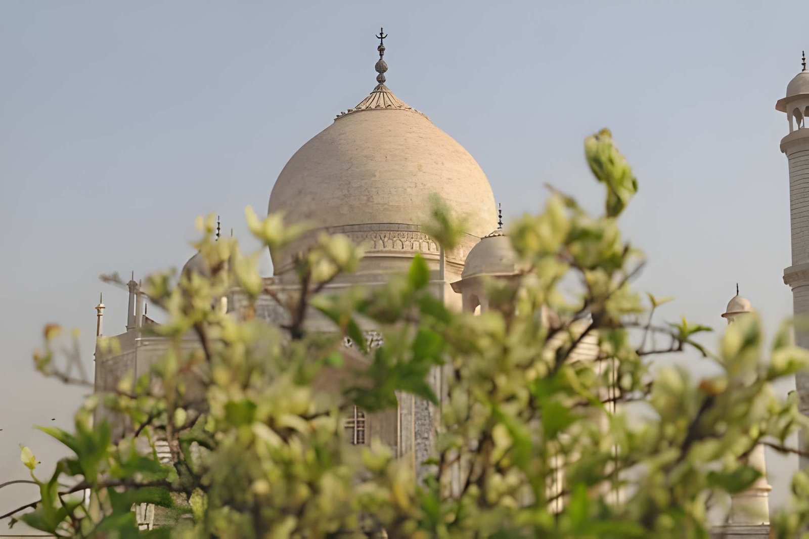 Encounter at the Taj Mahal