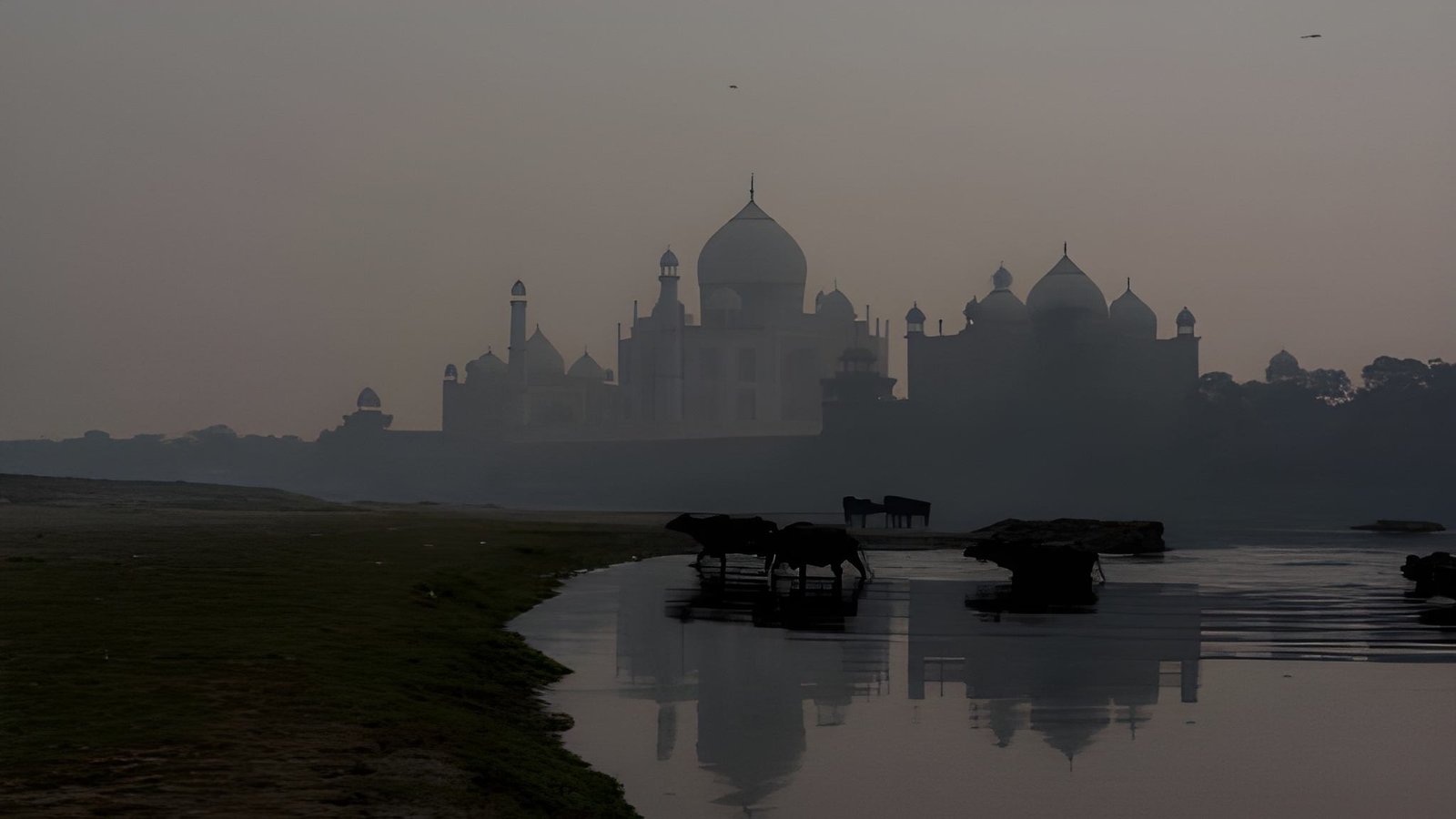 Inspired by the Taj Mahal